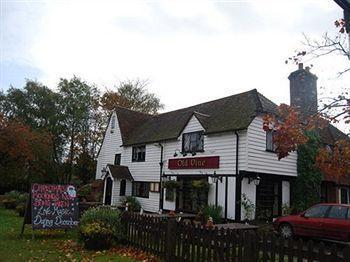 The Old Vine Inn Wadhurst Exterior foto